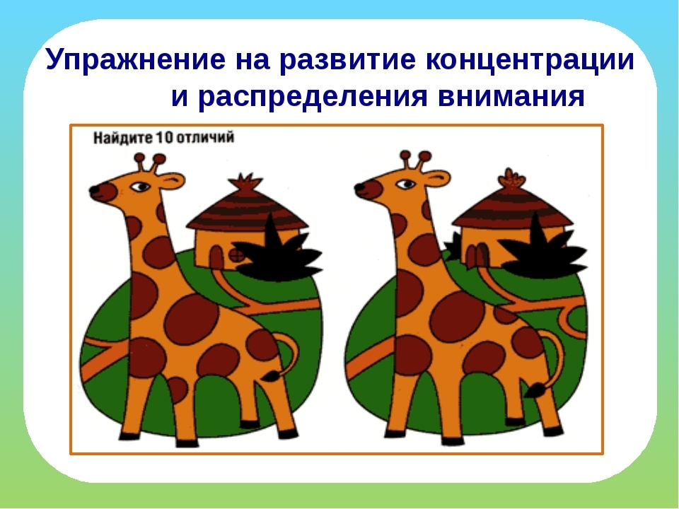 Как развить внимательность у ребенка в 8-10 лет: памятка для родителей