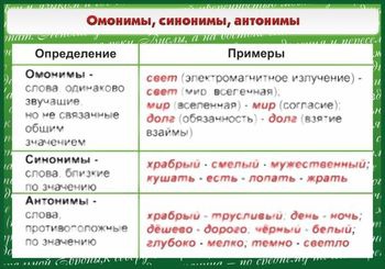 Антонимы синонимы омонимы паронимы топонимы