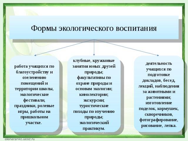 Методы экологического воспитания ️ общая характеристика форм обучения детей дошкольного и младшего школьного возраста, классификация, средства и приемы, принципы
