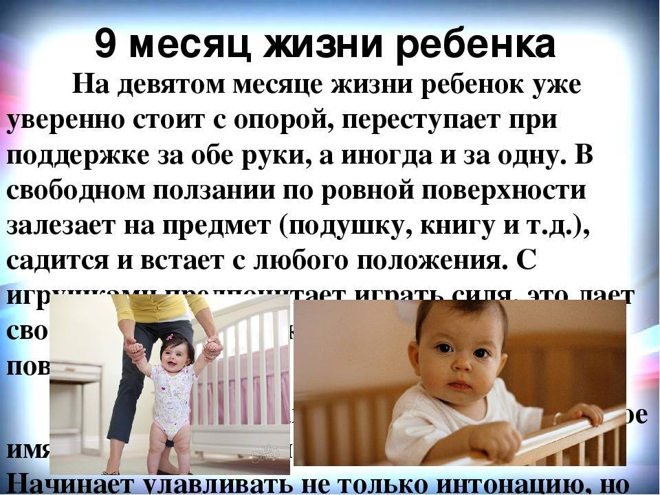 Развитие ребенка в 1 год 9 месяцев: все о том, что умеет малыш, его физические параметры, а также речевые особенности, рацион питания и гигиена
