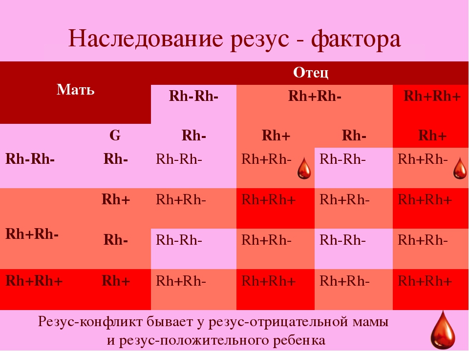 Группа крови ребенка