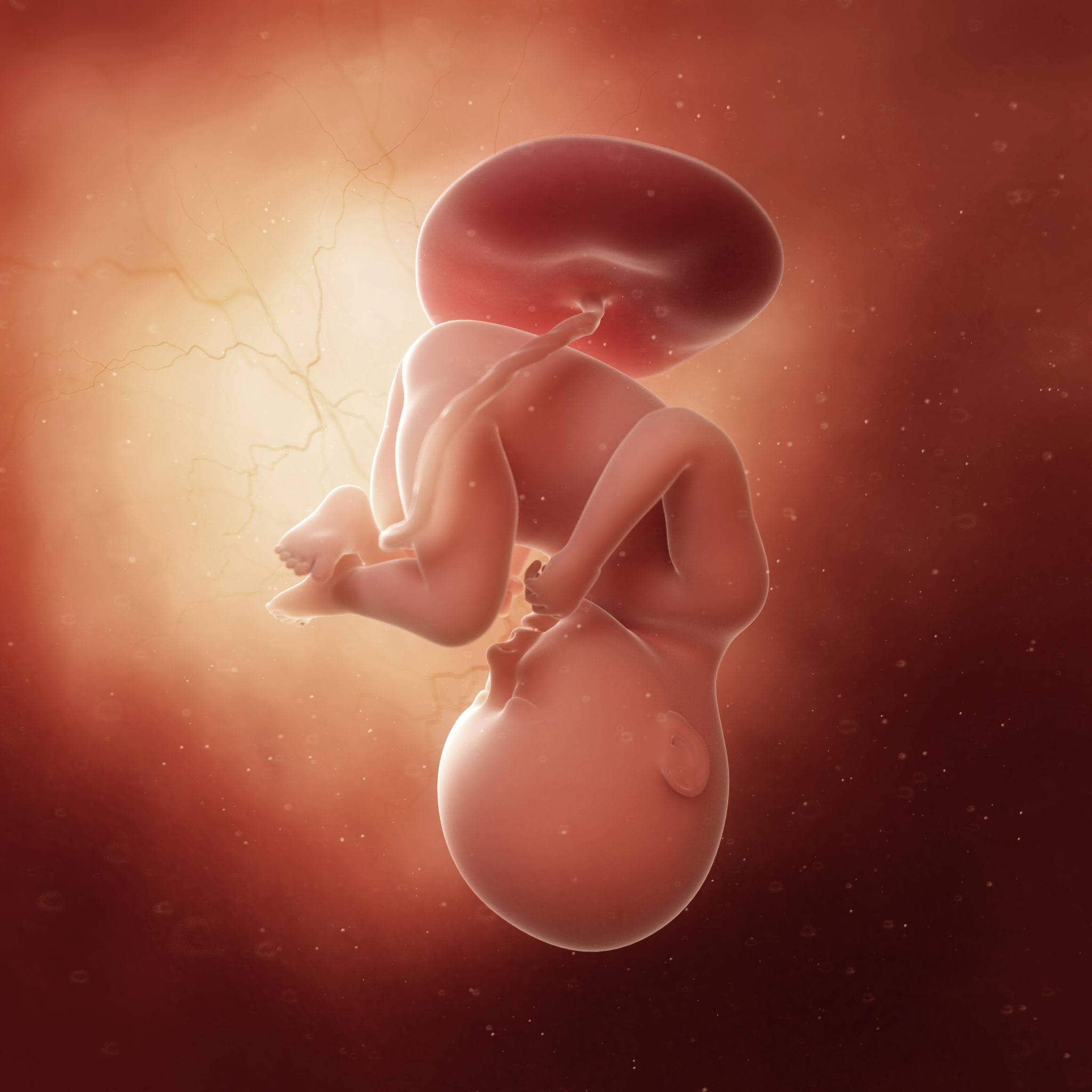 35 неделя беременности: ощущения, признаки, развитие плода