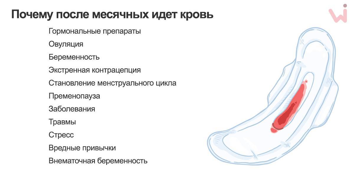 Почему после акта кровит. Кровь после полового акта. Как выглядят нормальные месячные.