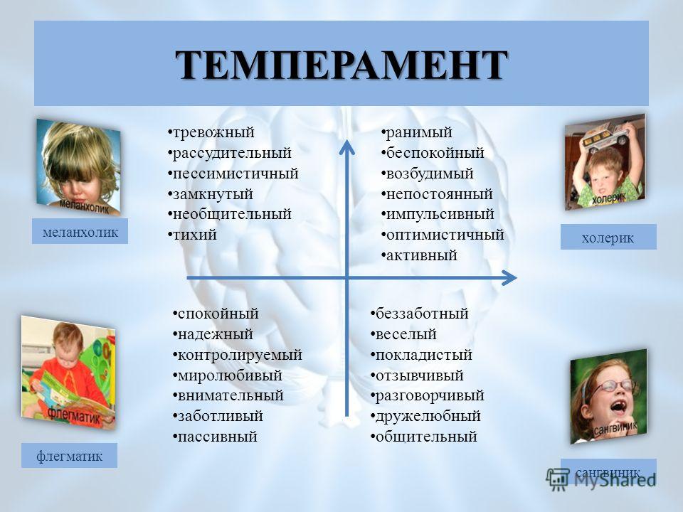 Как определить темперамент ребенка и учитывать его особенности в воспитании: