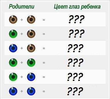 Каким будет цвет глаз у ребенка?