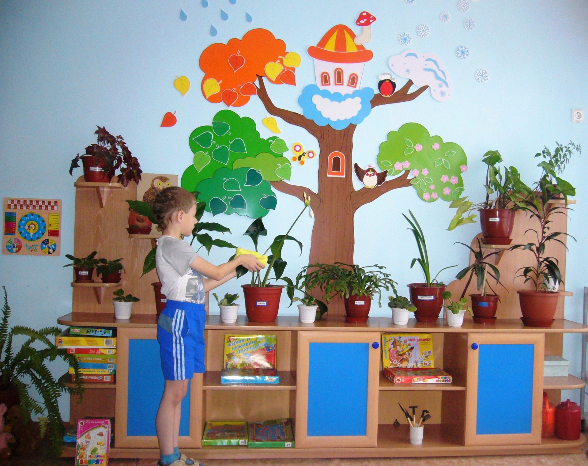 Уголок природы своими руками в детском саду. как сделать уголок природы в детском саду