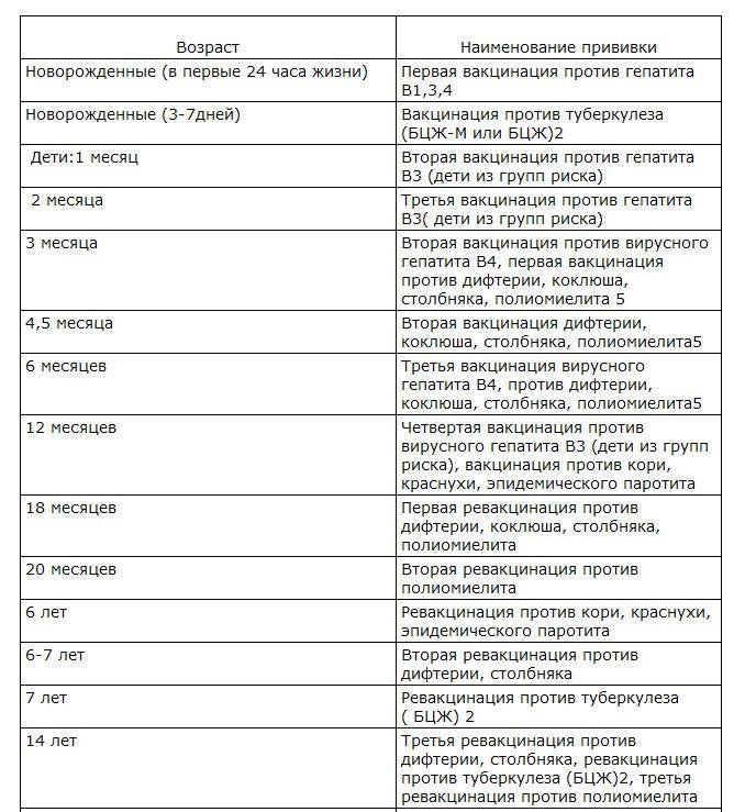 План иммунопрофилактики взрослого человека