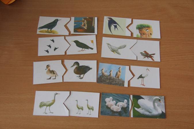 Конспект нод по рисованию в подготовительной к школе группе «перелетные птицы»