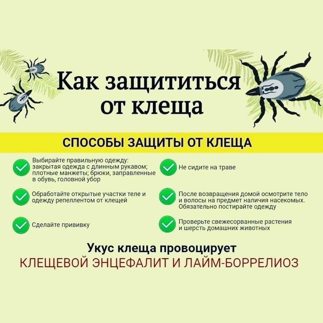 Как защитить ребенка от клещей на природе
