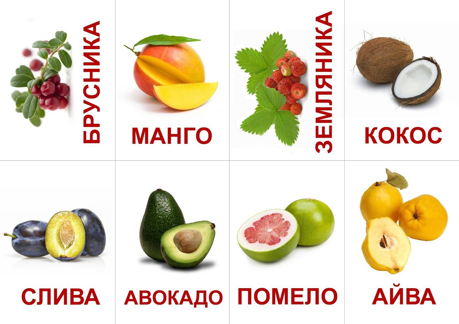 Учим фрукты и ягоды (Карточки Домана)