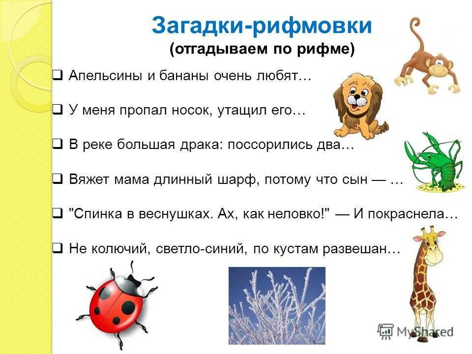 Короткие загадки для детей про животных. лёгкие загадки про животных для детей