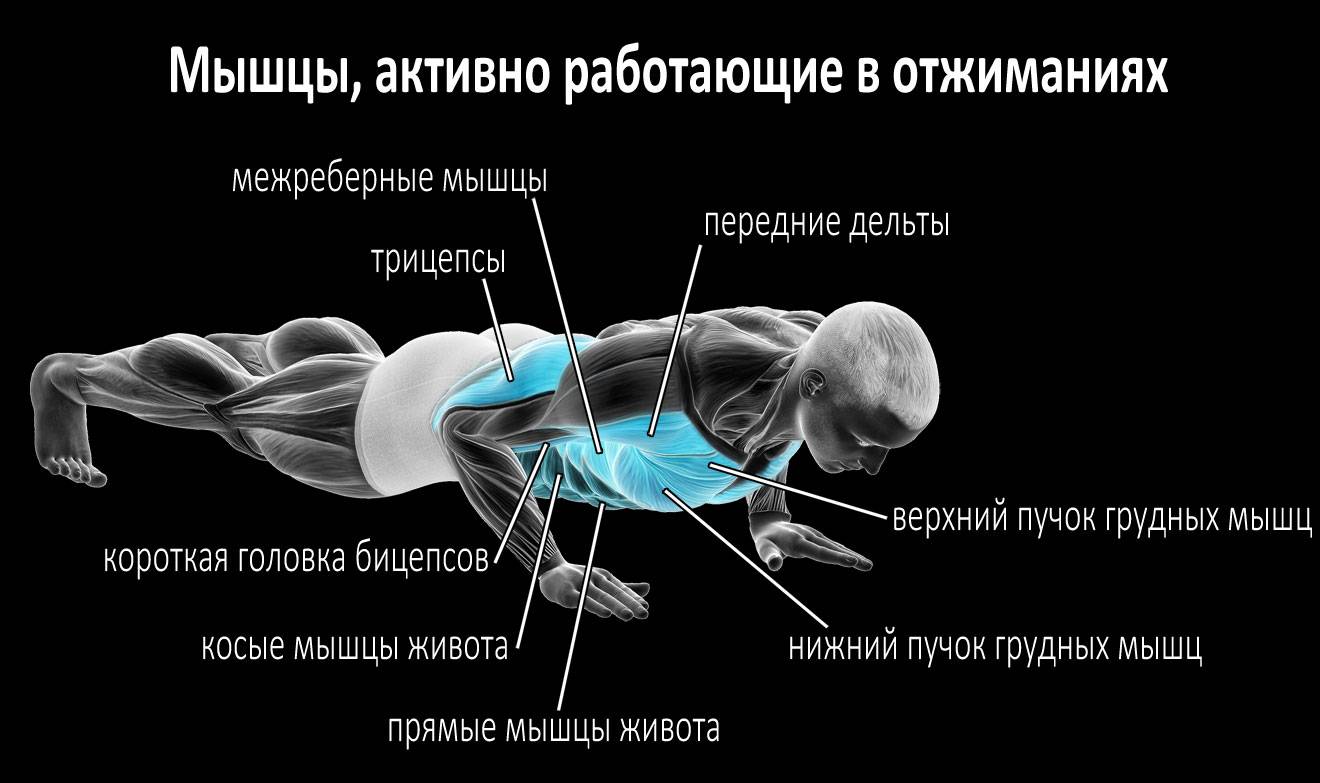 Как родителям научить ребенка правильно отжиматься от пола