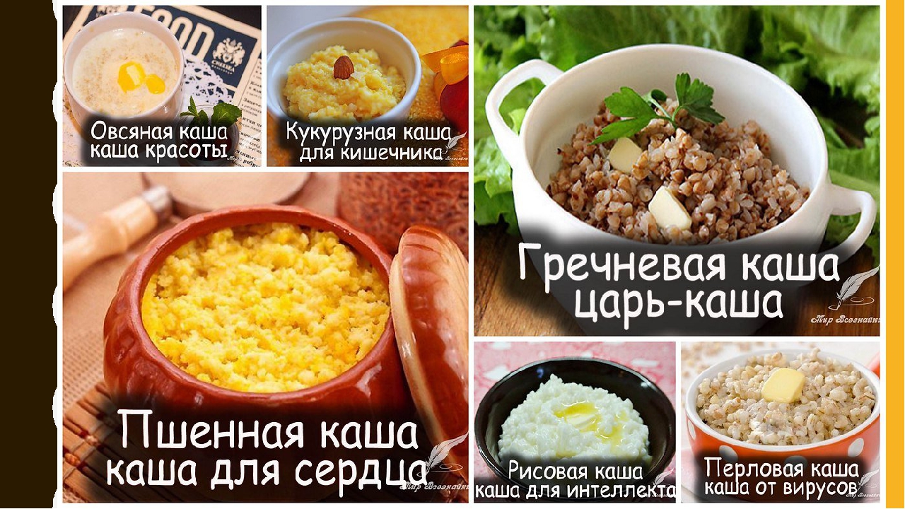 Каши для диеты: лучшие крупы для похудения, способ приготовления и включение в меню диеты / mama66.ru