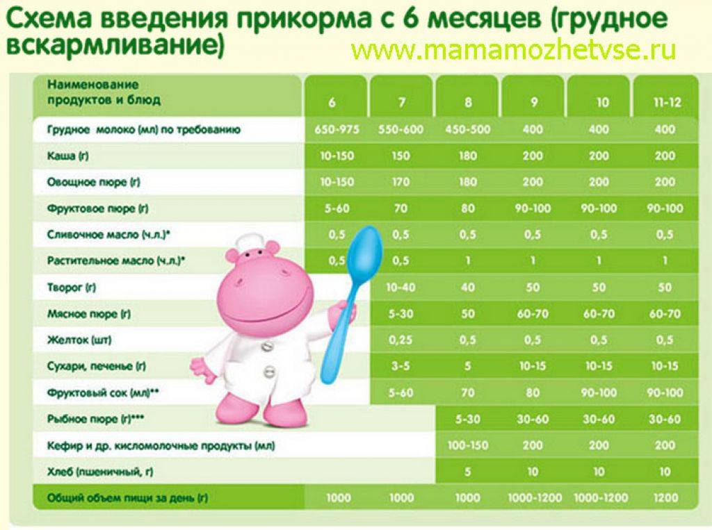 Питание ребенка в 5 месяцев: что можно давать крохе кушать и пить - меню в таблице