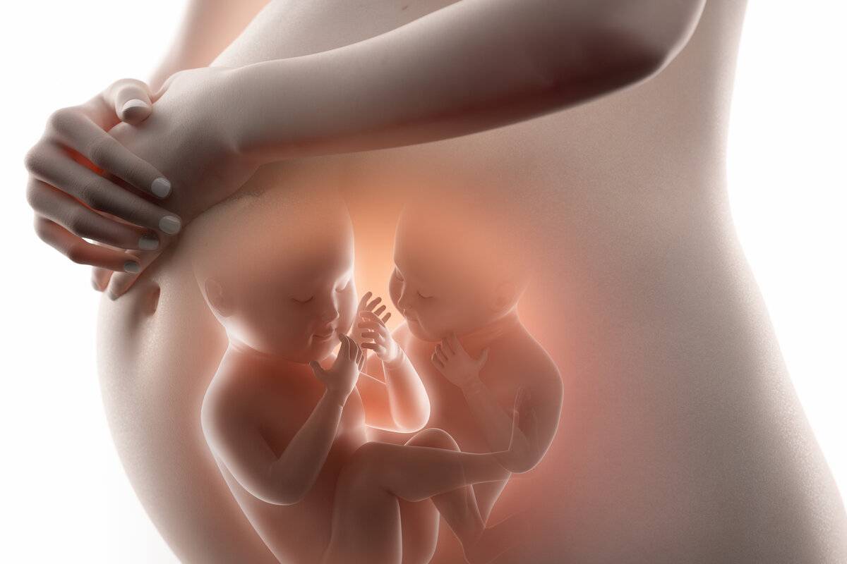молозиво из груди в 29 недель беременности фото 111
