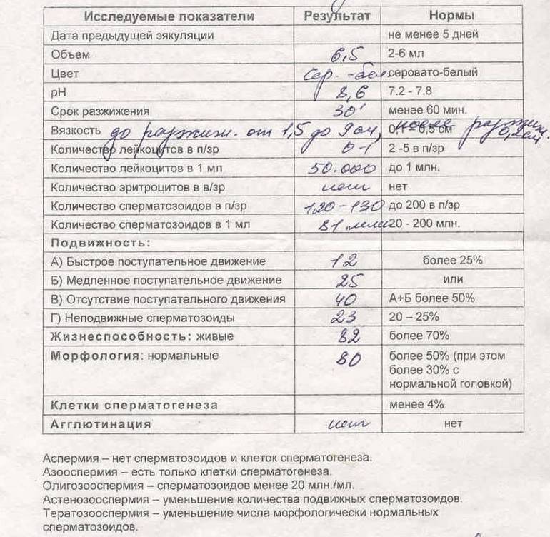 Как правильно сдать спермограмму. правила подготовки к анализу.