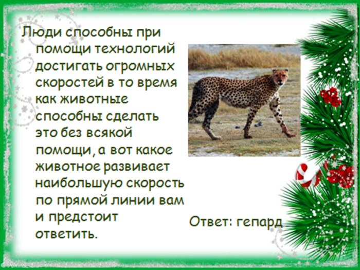 Викторина на тему «животные» с ответами для 4 класса