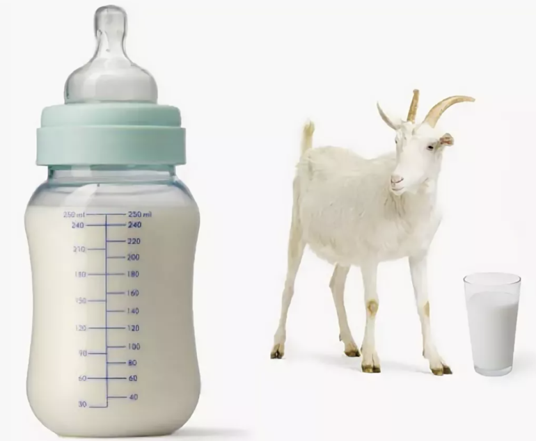 5 лучших смесей на козьем молоке – рейтинг 2021