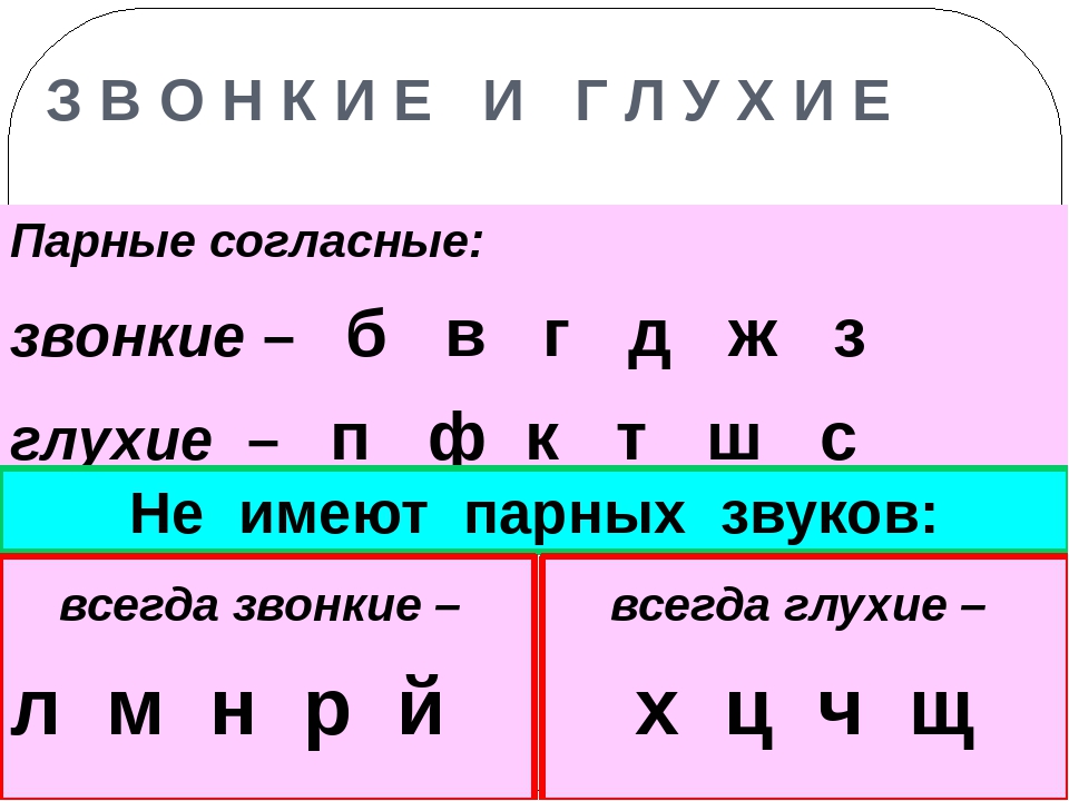 Звонкие и глухие согласные звуки – таблица по русскому языку по парам (1 класс)
