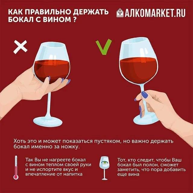 Как правильно держать бокал с вином, шампанским по этикету?