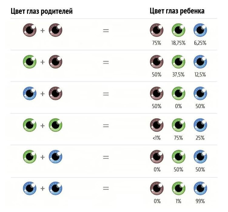 Какой цвет глаз будет у ребенка: таблица, закономерности и прогнозы!