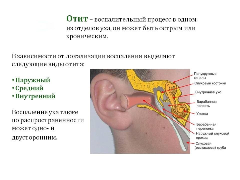 Гнойный отит у ребенка: педиатр, к.м.н. о 5 правилах антимикробной терапии