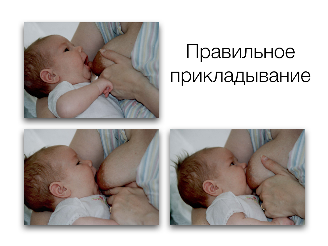 Как правильно прикладывать новорожденного к грудному вскармливанию фото