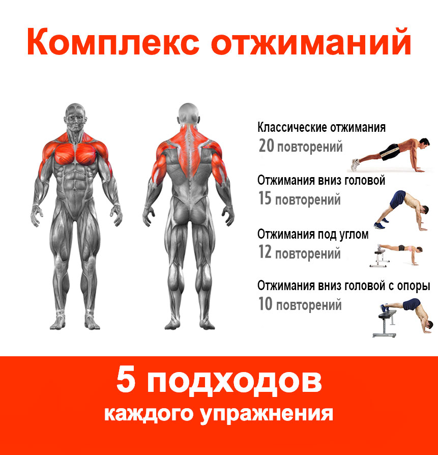 Отжимания На Разные Группы Мышц Картинки