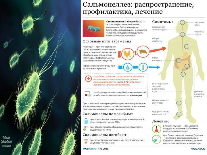 Сальмонеллез у детей: симптомы и лечение