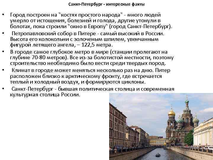 Что посмотреть с детьми в санкт-петербурге?