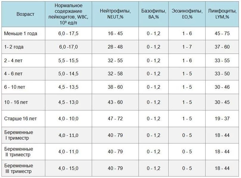 Что такое лимфоциты в крови, их норма, причины повышения и понижения