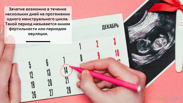 Менструальный цикл и благоприятные дни для зачатия
