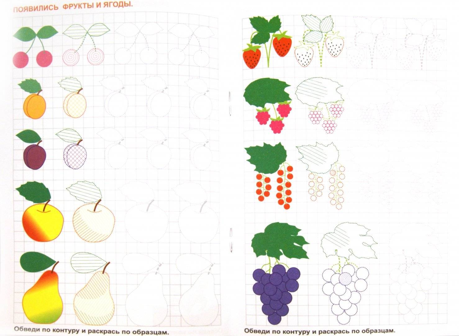 Рисуем фрукты и овощи поэтапно