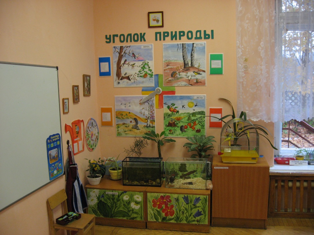 Уголок природы в детском саду (живой, природный уголок в доу)