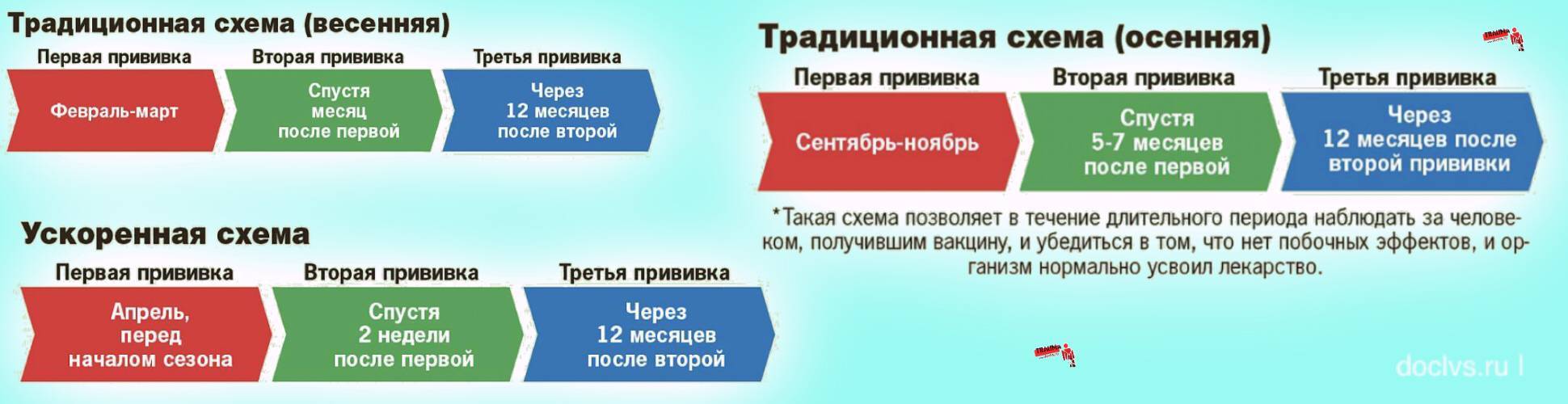 Прививка от клещевого энцефалита: схема вакцинации детям и взрослым