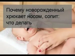 Почему новорожденный хрюкает носом: причины данной патологии. новорожденный хрюкает носом – что делать? - автор екатерина данилова - журнал женское мнение