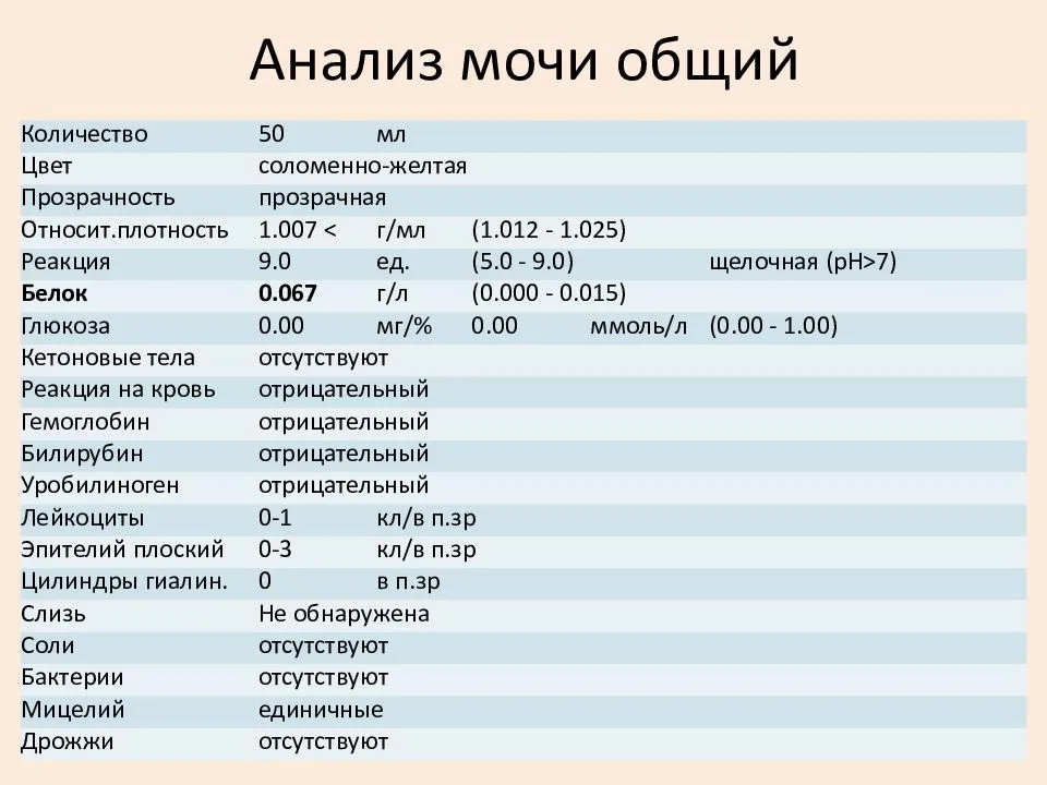 Общий анализ мочи у детей и взрослых: норма, расшифровка, как правильно собрать | азбука здоровья