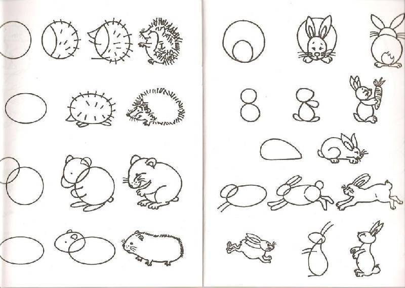 Животные в лесу рисунки – как нарисовать лес с животными карандашом поэтапно?
