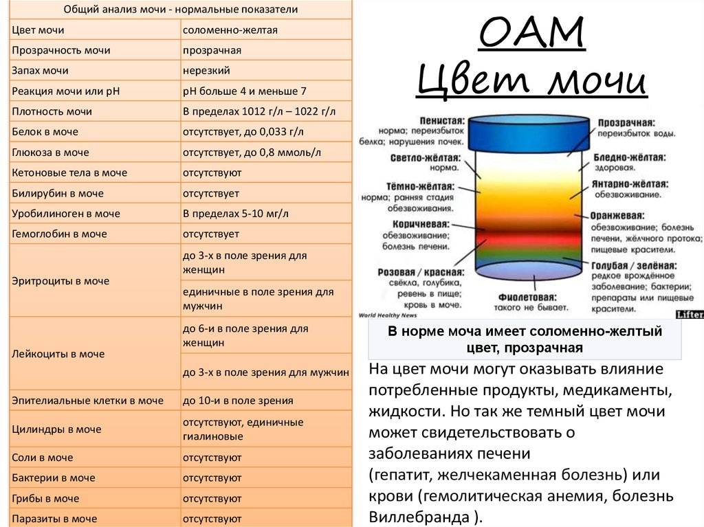 Темно желтый цвет мочи фото