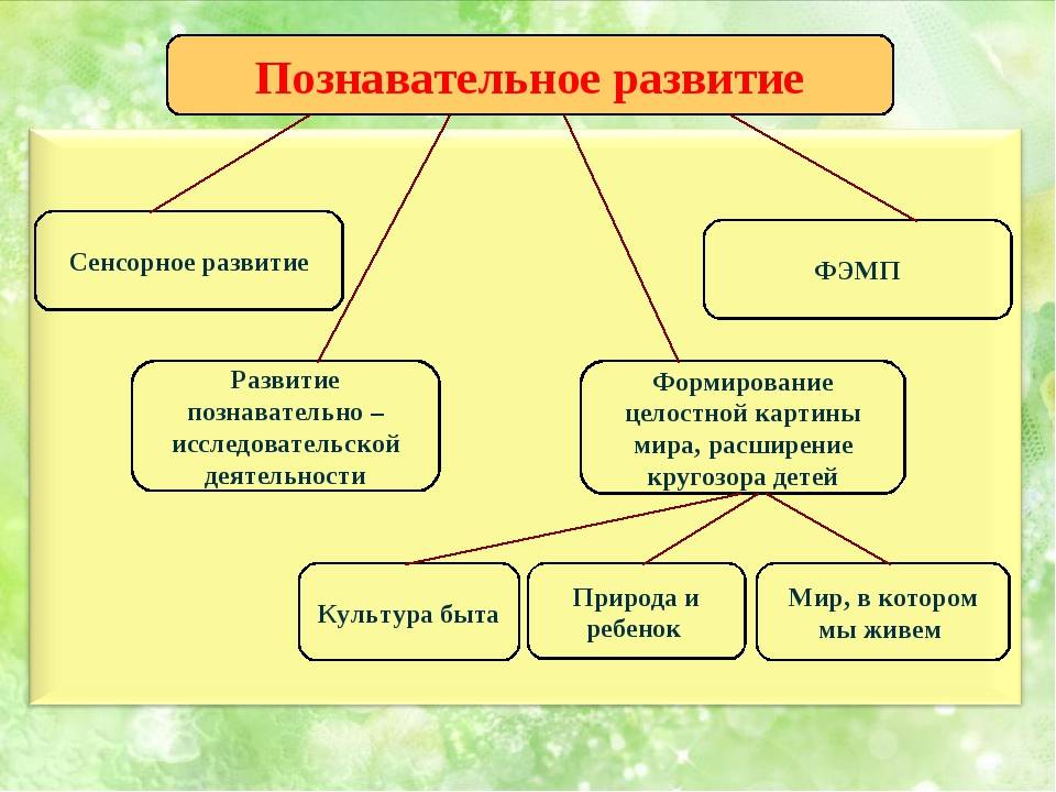 Возможности доо в познавательном развитии детей дошкольного возраста | статья в журнале «молодой ученый»