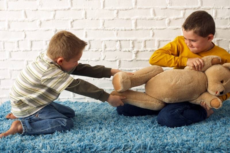 Почему ребенок отнимает игрушки у других детей
