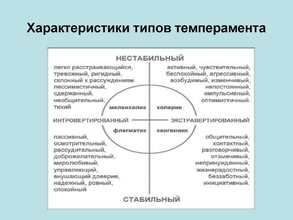 Как определить темперамент ребенка и учитывать особенности в воспитании