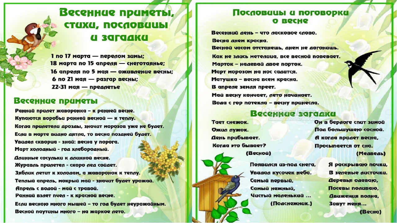 Конспект од по экологии в средней группе «путешествие в лес». воспитателям детских садов, школьным учителям и педагогам - маам.ру