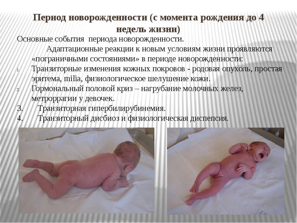 До какого возраста дети считаются новорожденными: сроки и общая характеристика психического развития в данный период