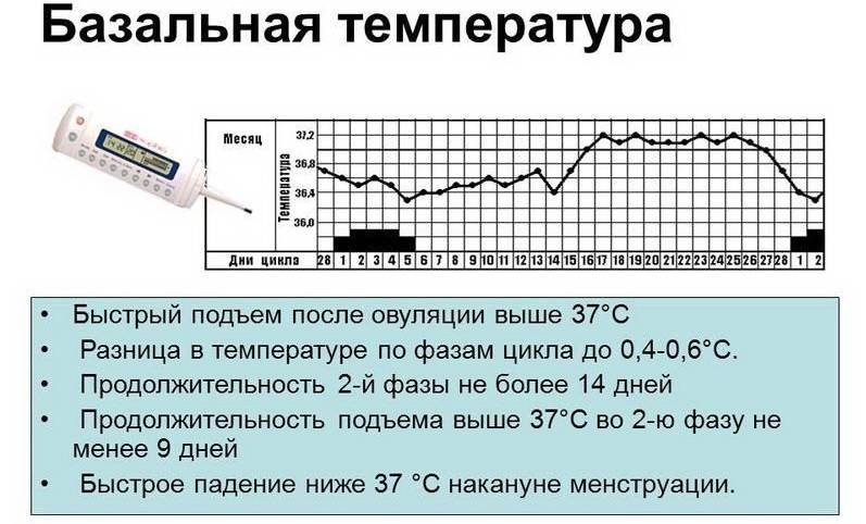 Базальная температура - что значит, как измерить, правила измерения базальной температуры