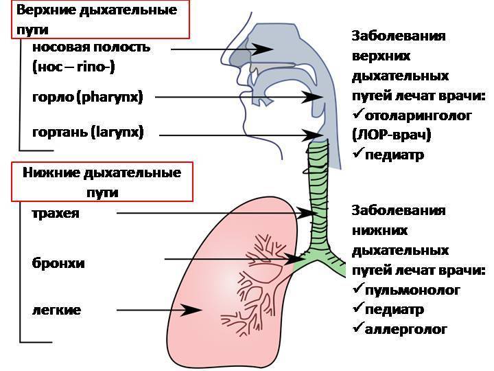 Морозный воздух так обжигал что трудно было дышать схема