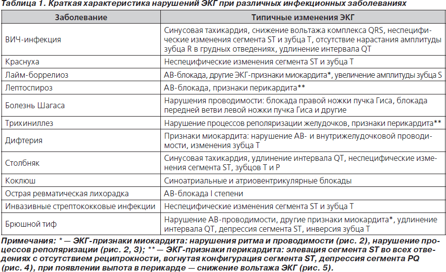 Диф диагностика экзантем презентация