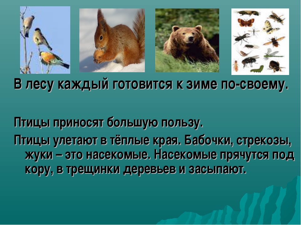 Жизнь диких животных зимой презентация, доклад