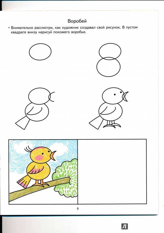 Как научить ребенка рисовать: с чего начать поэтапно, как правильно, простые рисунки