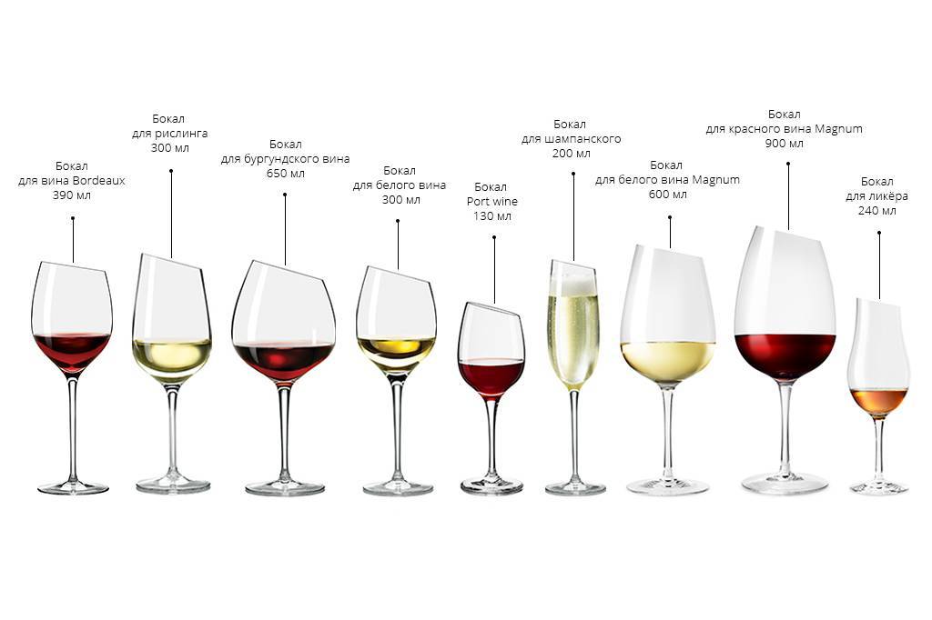 Правила употребления вина и шампанского